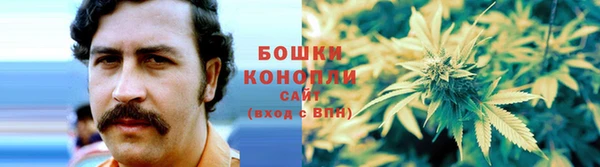 соль ск Приозерск
