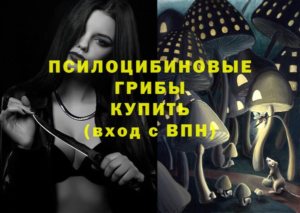 стаф Алексеевка