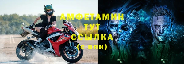 ECSTASY Алзамай