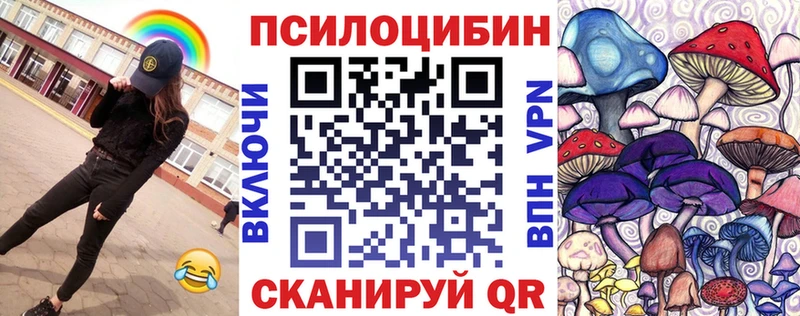 KRAKEN tor  Завитинск  Галлюциногенные грибы прущие грибы 