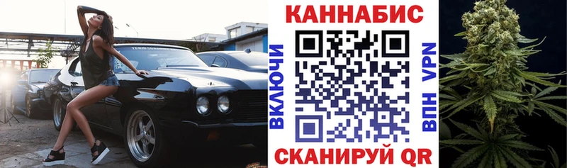 где найти наркотики  Завитинск  Каннабис ГИДРОПОН 